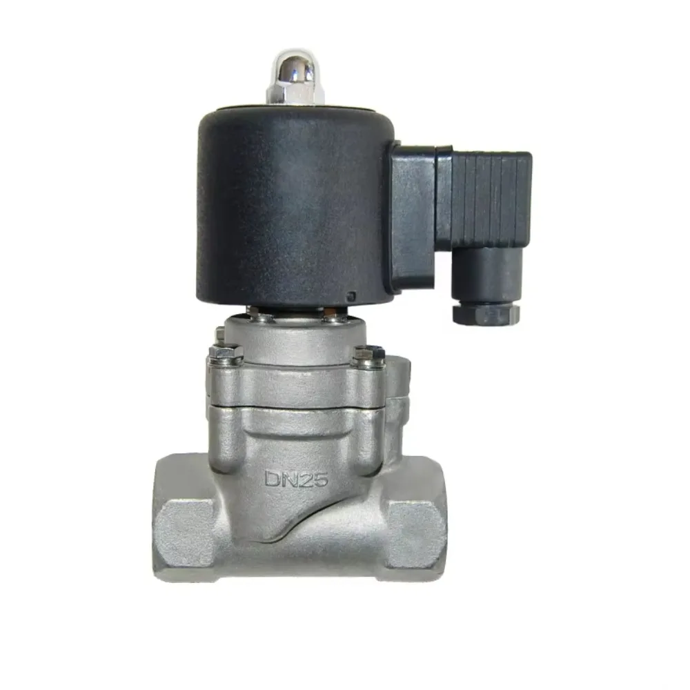 Customized high temperature solenoid valve for pilot solenoid valve, 12v 24V 220V solenoid valve