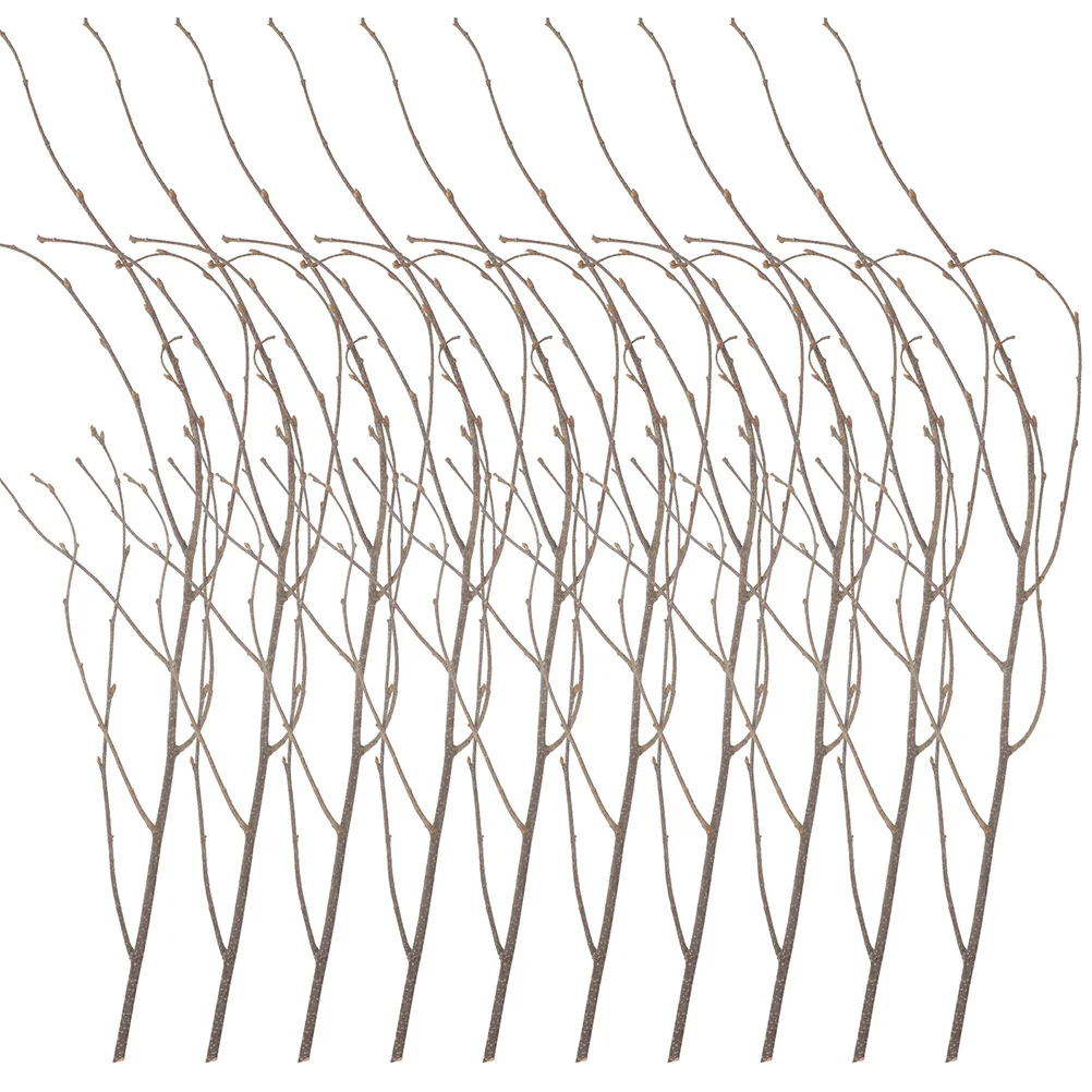 กิ่งไม้แห้ง 12 ชิ้นสำหรับตกแต่ง กิ่งไม้เบิร์ช การจัดดอกไม้ งานฝีมือ DIY ของตกแต่งพืช ของประดับตกแต่ง