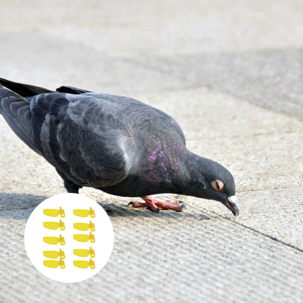 

10Pcs Automatic Bird Waterer Sturdy Plastic Poultry Drinking Cup for Parrots Pigeons Chickens Refillable Water Feeder Chicken