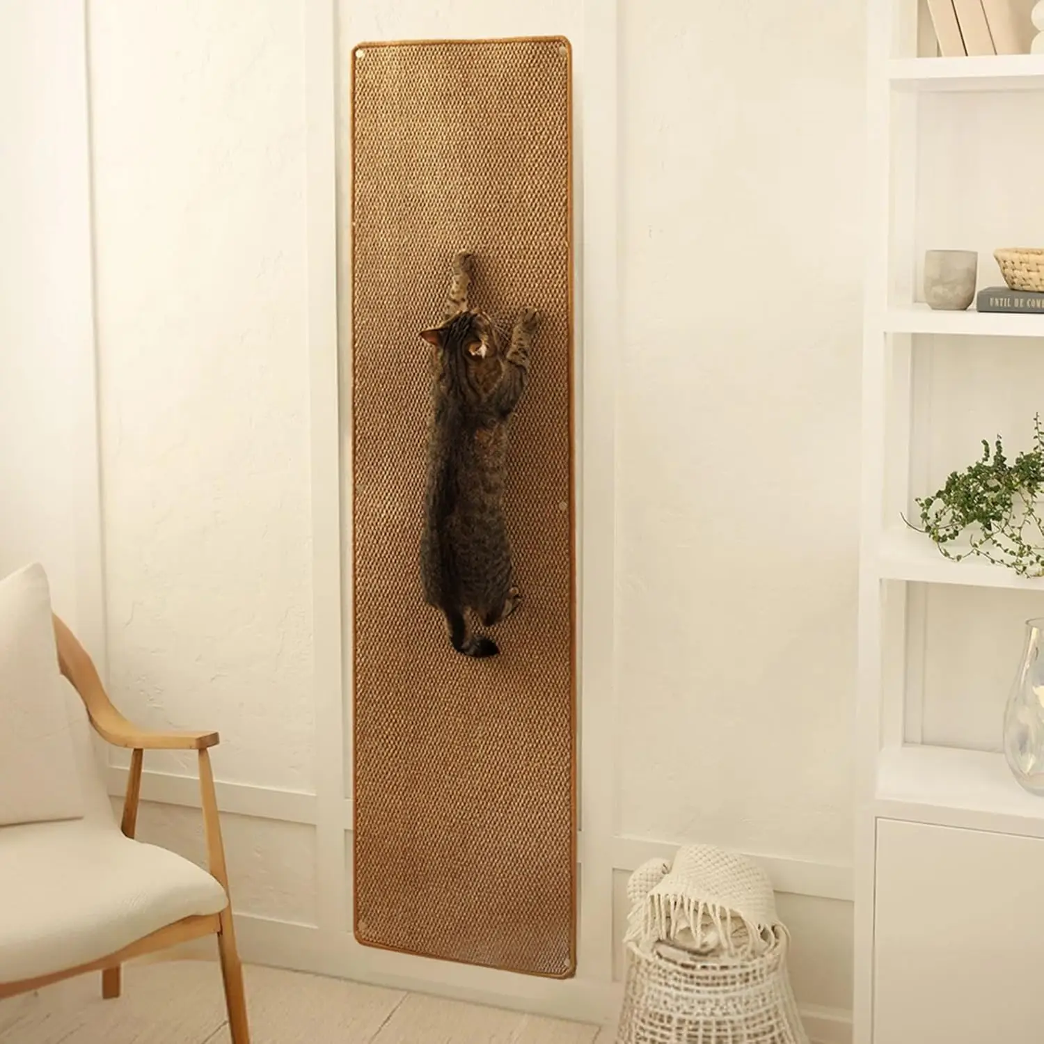 

Cat Wall Climbing Carpet - Cat Wall Climber 67" x 17.5" with Fixed Nails – Scratching Rug Wall Scratchers for Indoor Ca