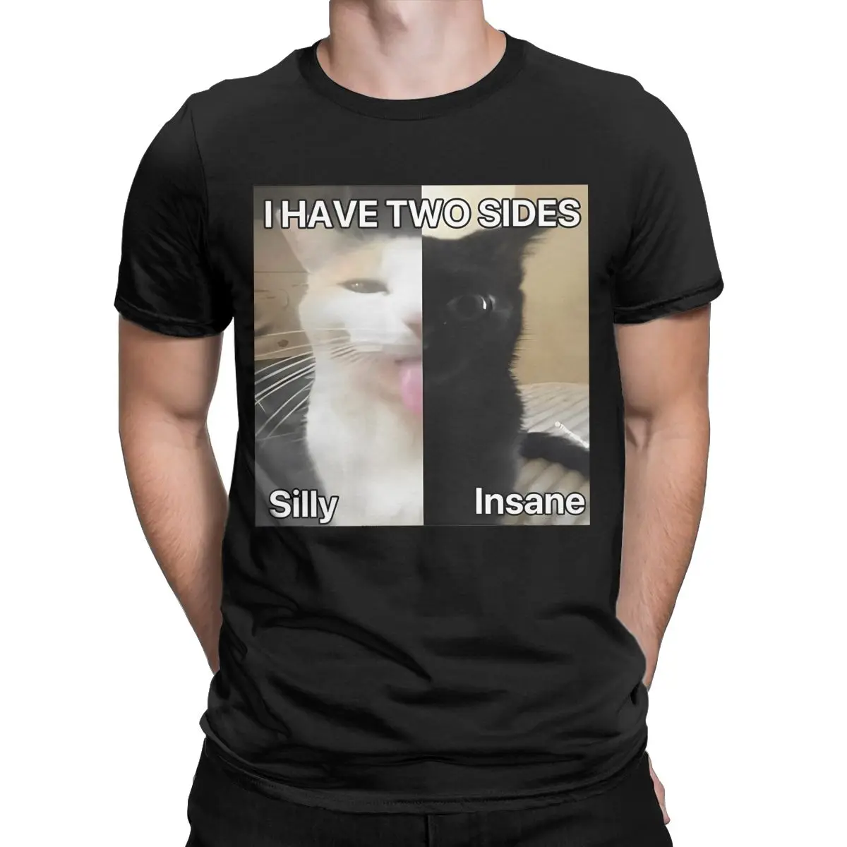 i have two sides meme