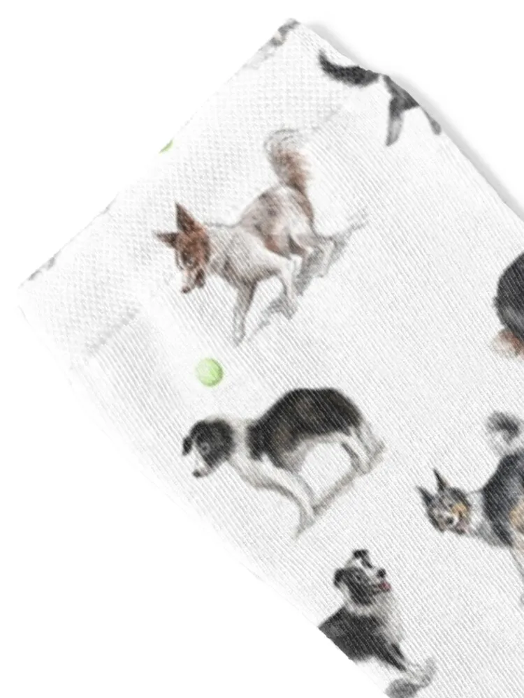 Border Collies Socks Stockings Lots sheer sport Girl'S Socks Men's