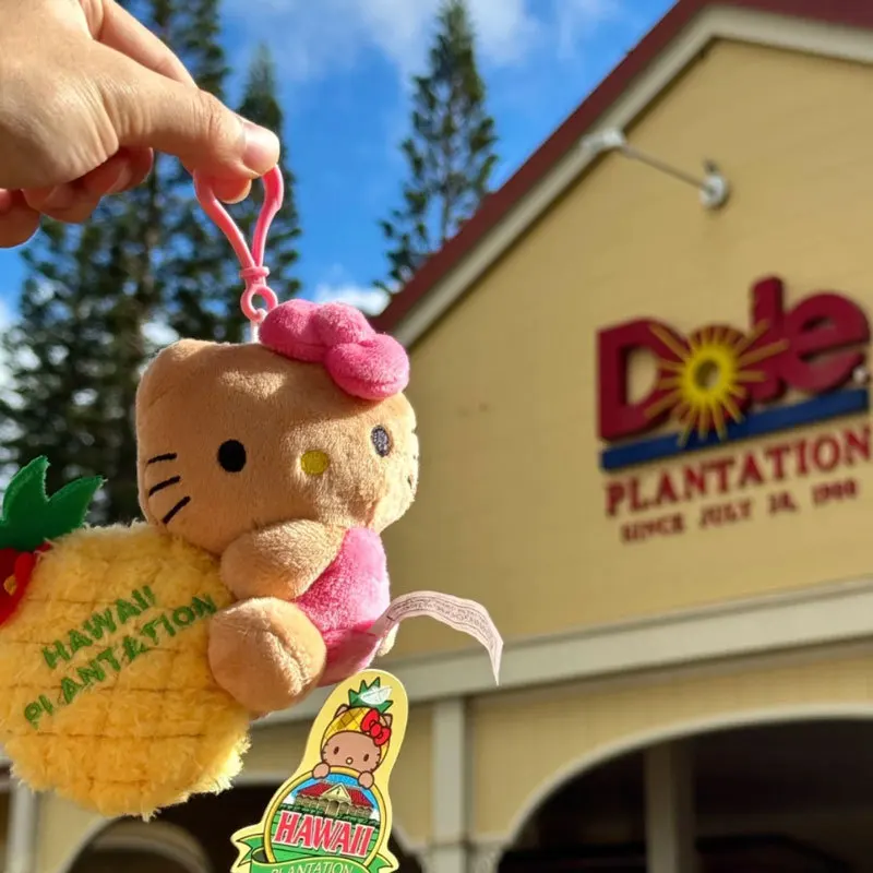 Para Kawaii HelloKitty 50 aniversario hawaiano piel negra piña serie anillo de natación muñeco de peluche mochila decoración colgante