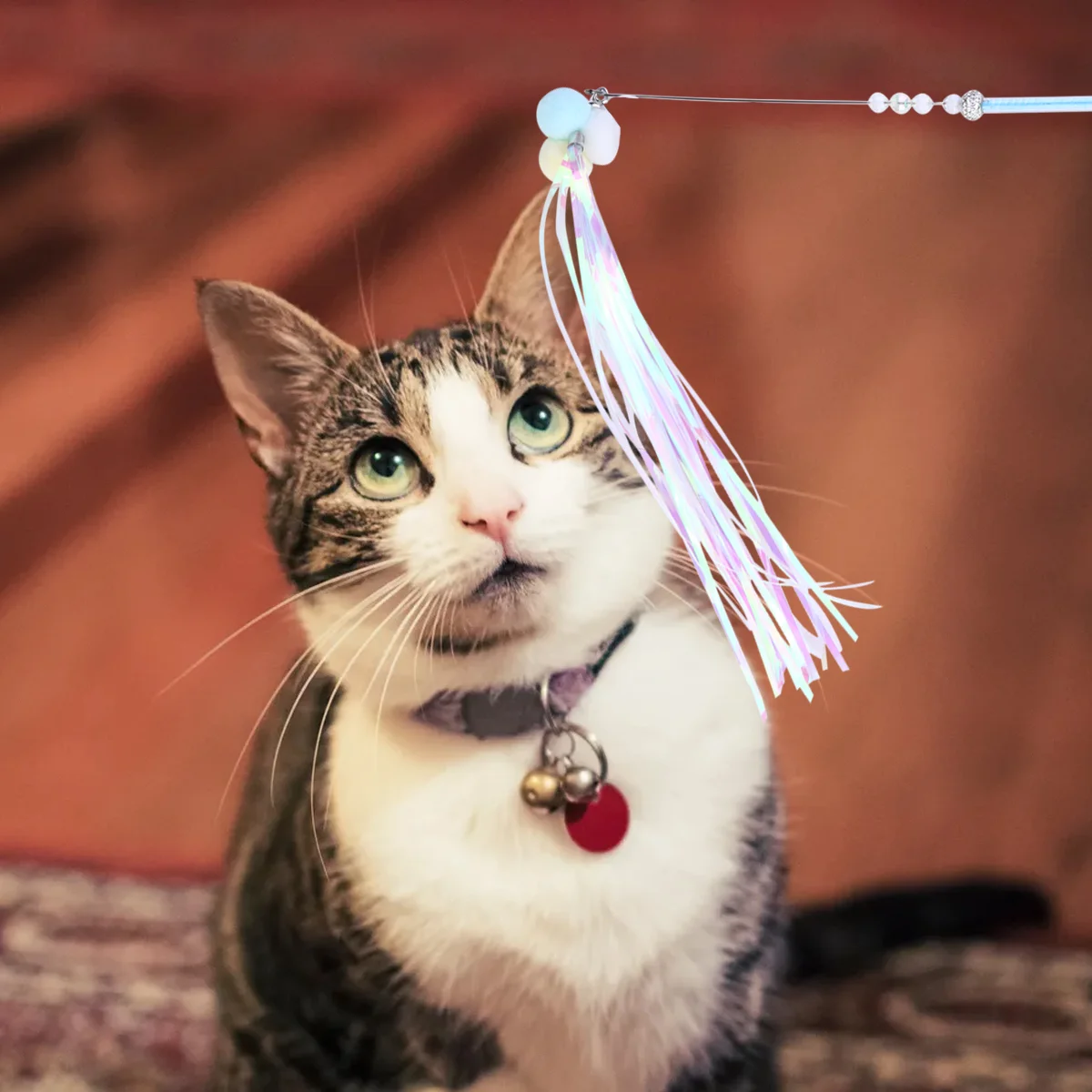 

3 Pcs Tassel Teaser Stick Puppet Cat Toy Notice Interactive Pendant Wand for Fun