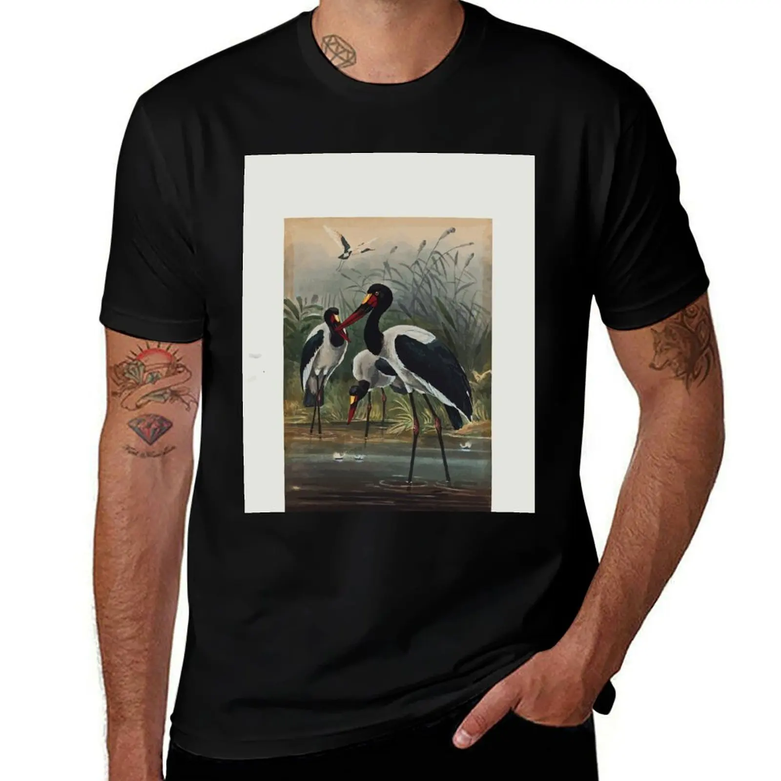 Zoological sketches by Joseph Wolf 1861 to 1867 092 The Saddle Billed Stork T-Shirt customizeds mens tall t shirts