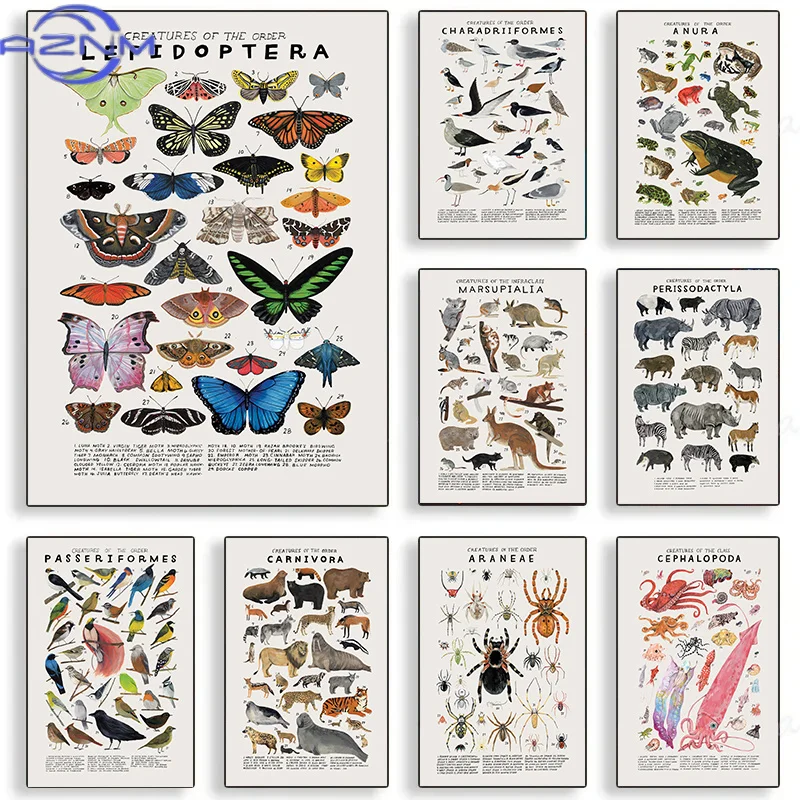 Affiches murales éducatives pour enfants AZNM : Animaux de la forêt, évolution générale des espèces, impressions sur toile, décorations murales pour chambre et maison