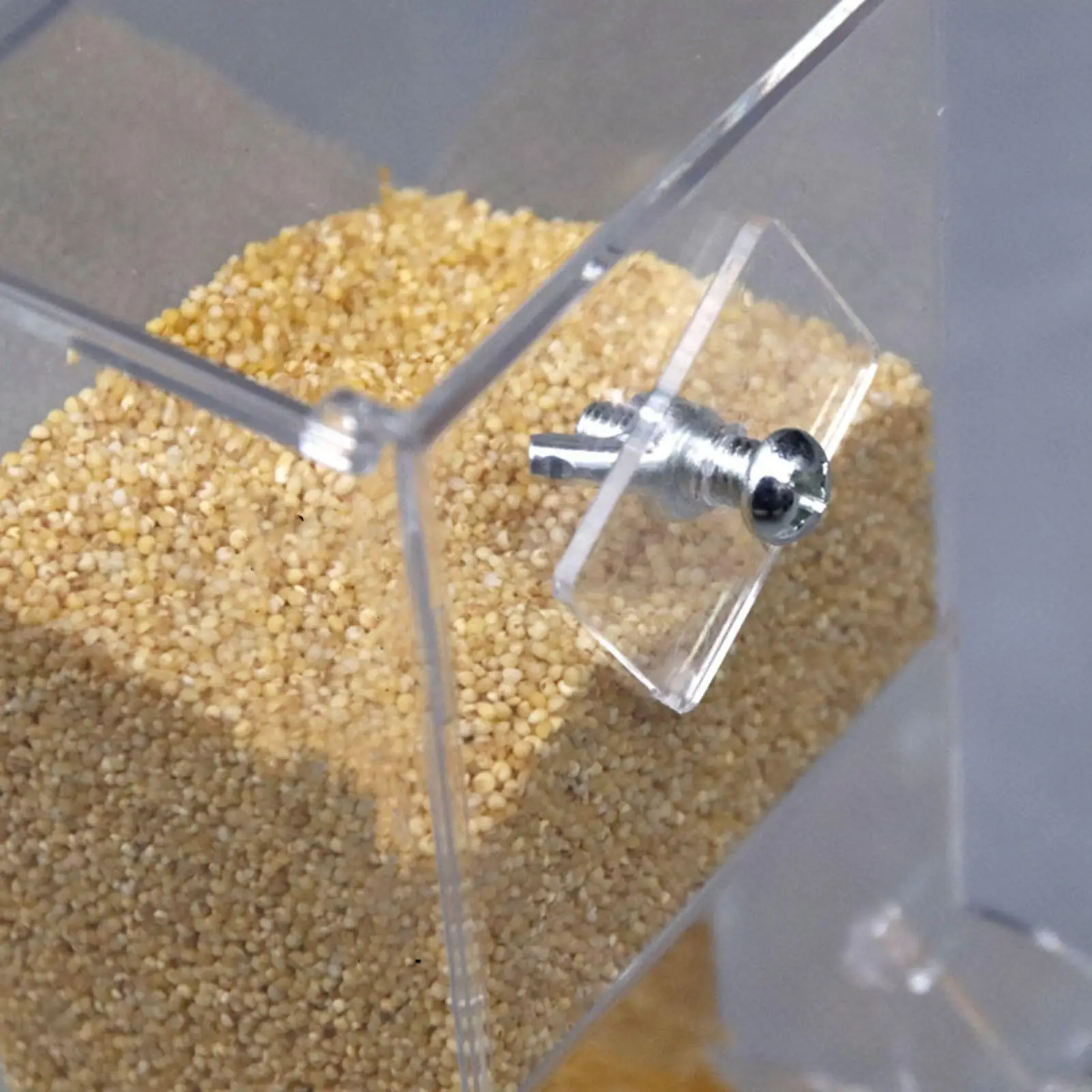 Dispensador automático de semillas para pájaros de jaula – Loros y canarios