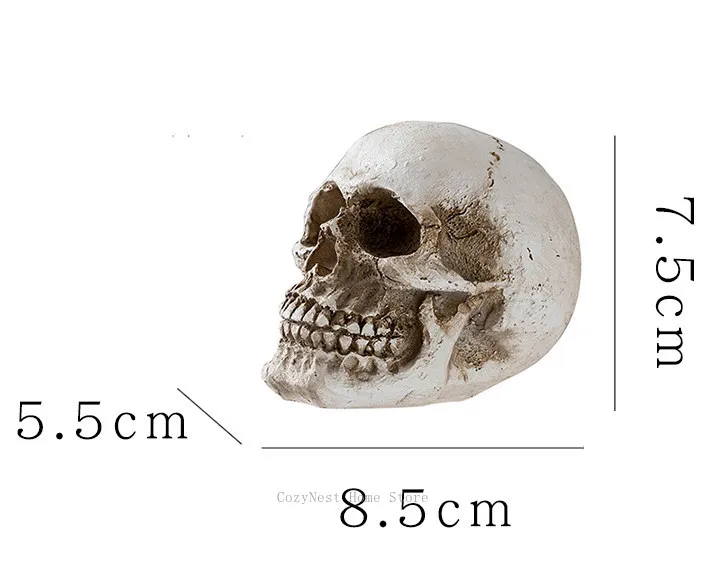 Make old skull model creative halloween secret room escape grimace decoration art shooting props