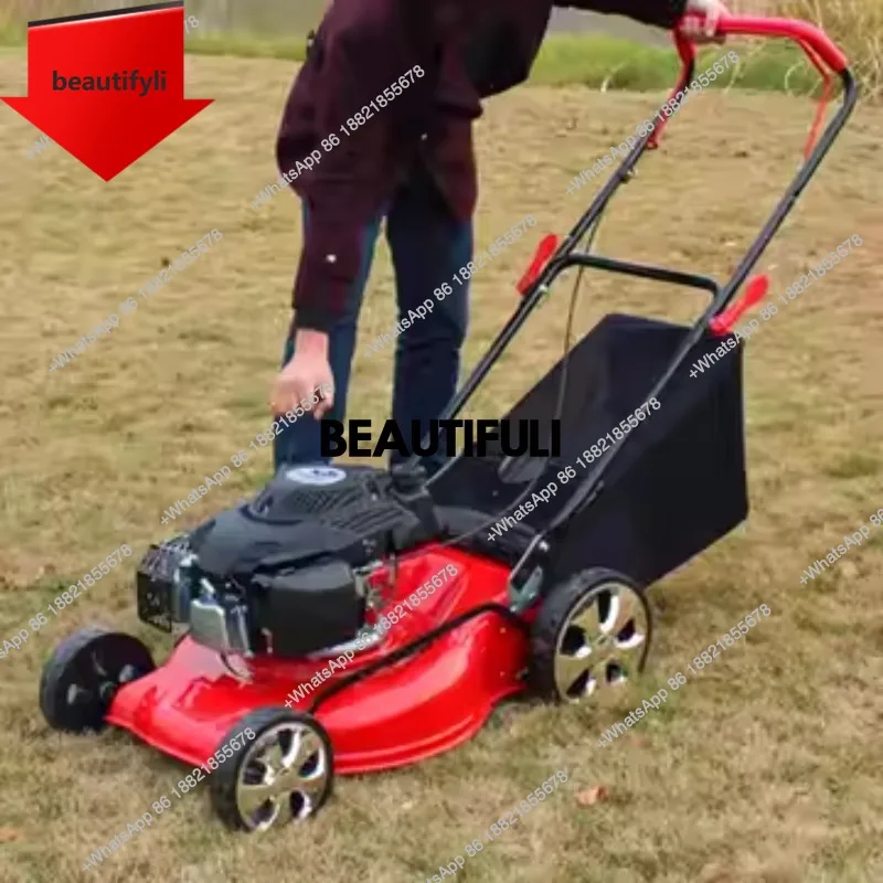 A55 High-quality electric lawn mower, 173cc, for lawn and garden, industrial/DIY quality, electric and gas.