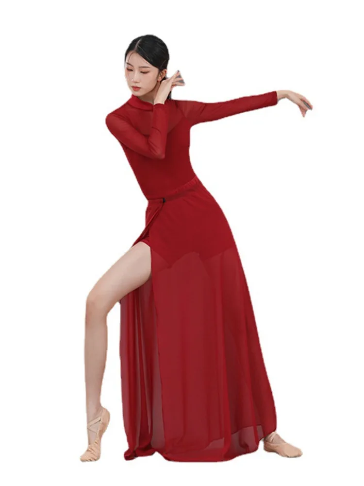 Solid Color Line Dance Clothing Chinese Halloween Costume Latin Women Mesh Patchwork Modern Dress Recital Classical Cheongsams