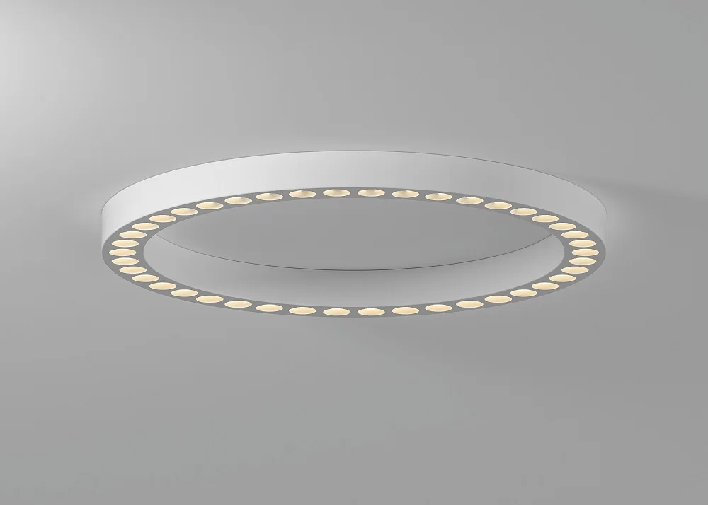 Dia.600mm Modern Aluminum Smart LED Reflected Light Single Ring Ceiling Light Zigbee Switch Control for Home Lighting