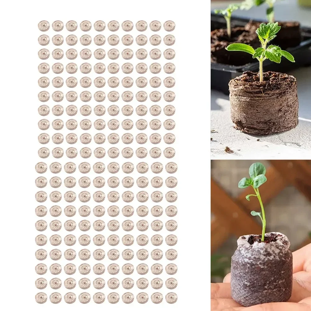 100pcs Compressed Coco Coir Pellets For Starting And Plant Propagation With Natural Coconut Fiber Substrate Plant Care