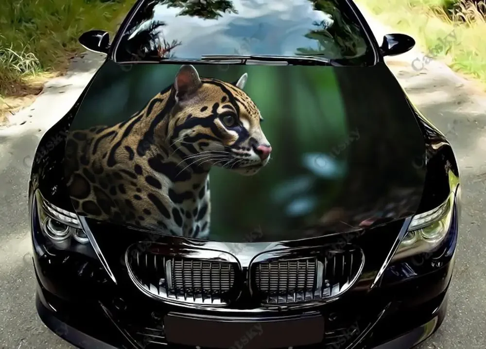 

Leopard Animal in The Wild Car Hood Vinyl Stickers Wrap Vinyl Film Engine Cover Decals Sticker on Car Auto Accessories Protect