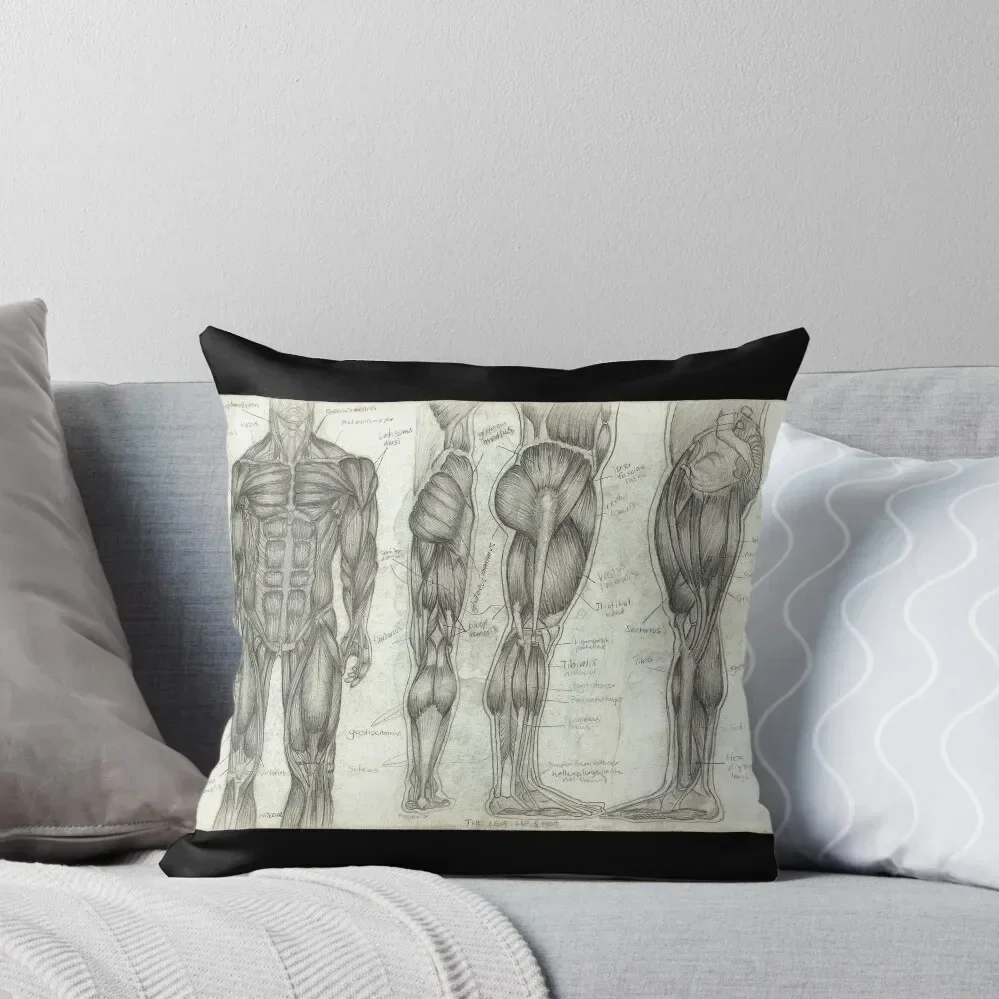 

Human Anatomy 2 Throw Pillow pillow pillowcase Luxury Pillow Cover