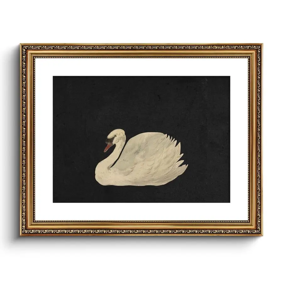

Gold Framed Wall Art Canvas Print Home Decor Vintage Swan Decoration Grace Swan Art Painting Pictures Rustic Bathroom Wall Decor