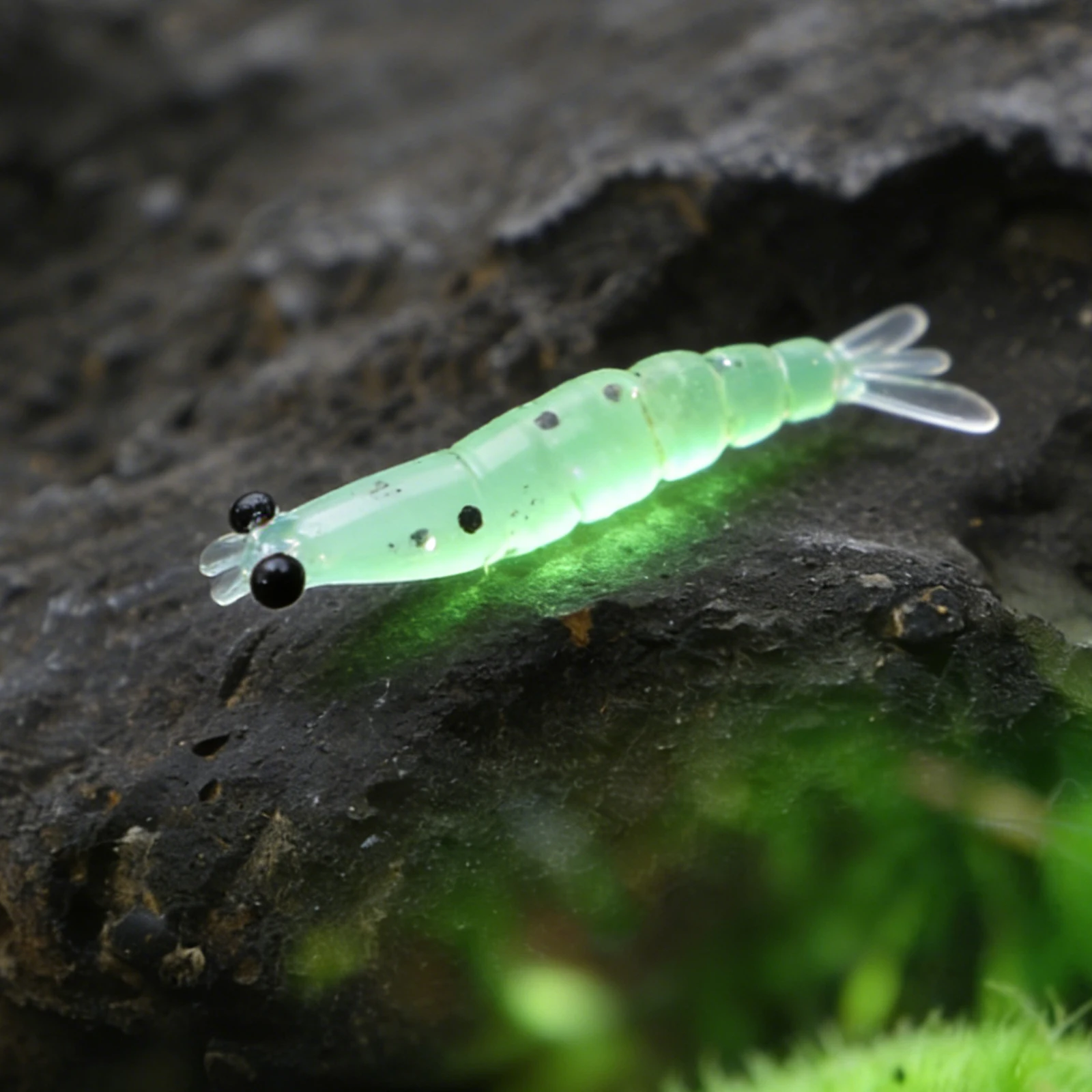 20Pcs Realistic Shrimps Bass Bait Glitter Direct Fishing Tackle Lures 3D Shrimps Artificial Baits For Stream Fisher