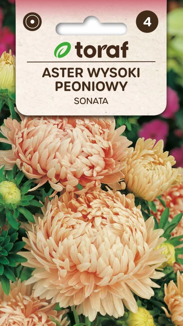 SONATA High Aster Bloemzaden-448 Toraf