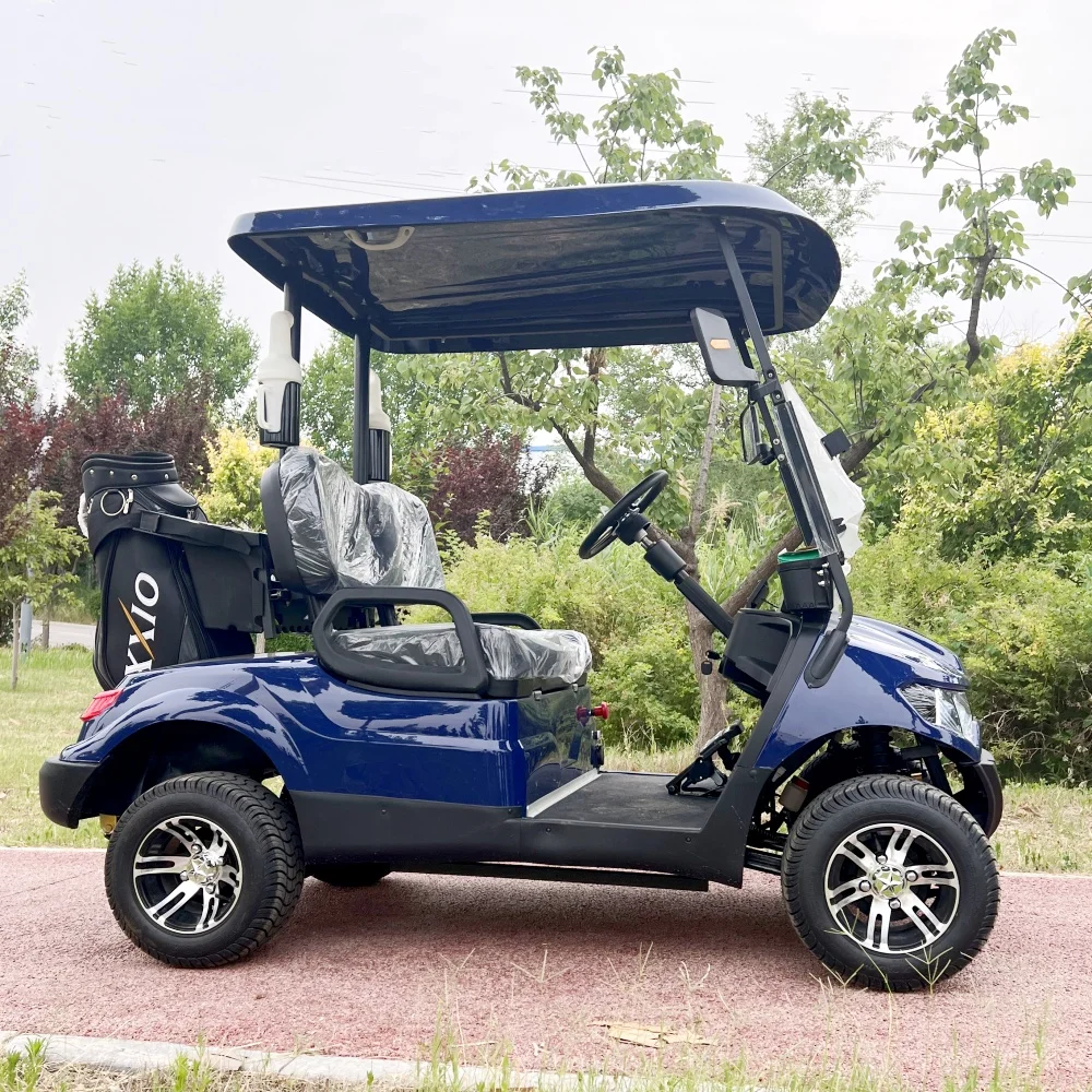 2024 Wholesale Hotsale Electric Club Car Buggy 2 Wheel Electric 48v Mini Single Seat Golf Cart