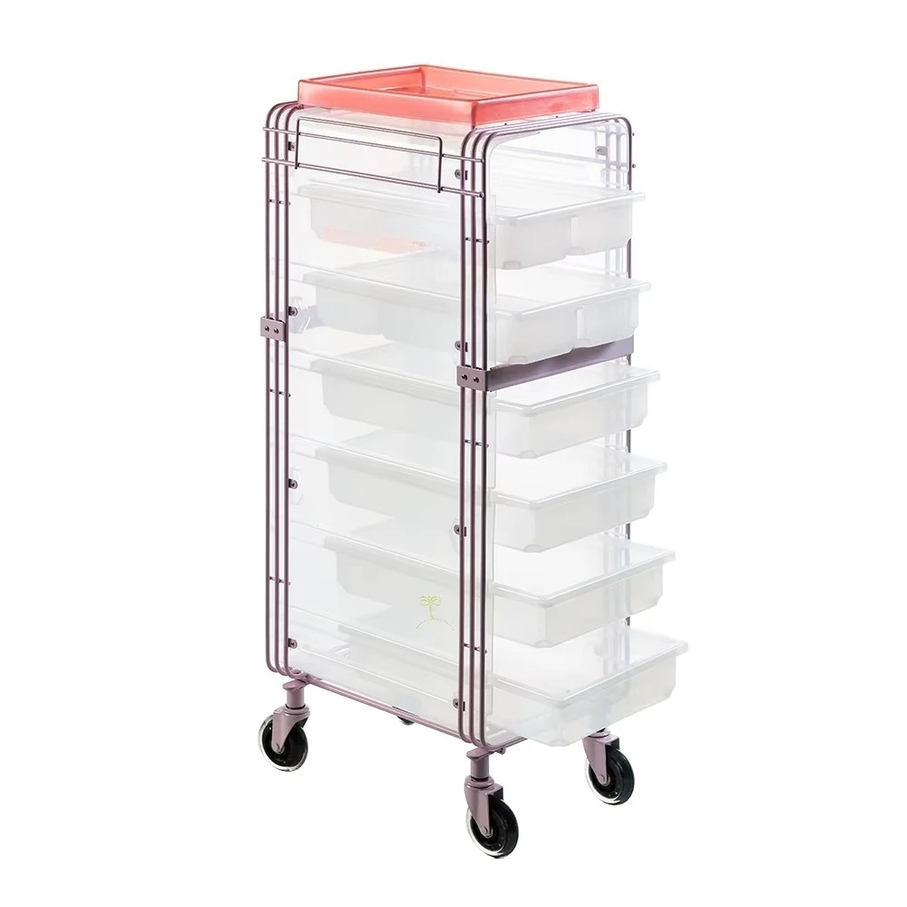 Modern Style Hair Beauty SPA Salon Trolley with 6 Drawers