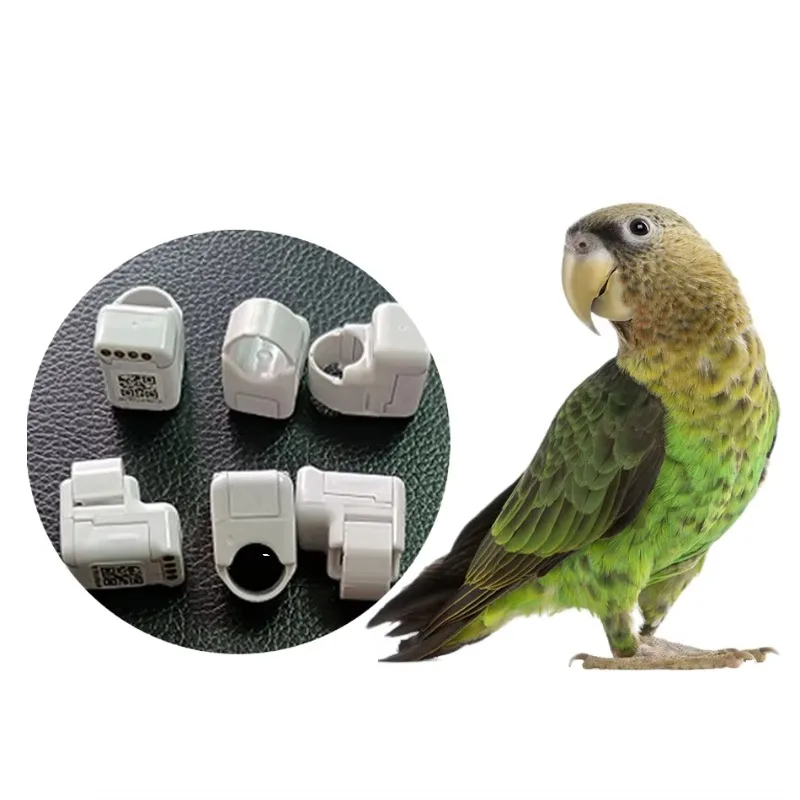 Real-time Global System Locator for Pigeon Outdoor Flight Leg Straps and Circular Positioning