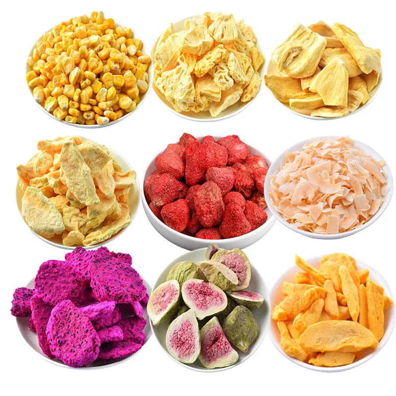 Labsnova Home Use Portable Freeze Dryer Machine For Food For Freeze-Dried Small Fish CE Approved