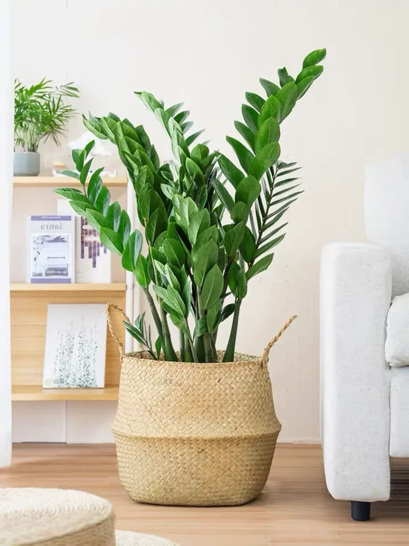 51in Gefälschte Pflanzen Große Künstliche Ficus Pflanzen Zweige Kunststoff Gefälschte Leafs Grün Banyan Baum Für Haus Schlafzimmer Garten Shop Decor – Detail 19
