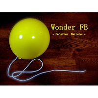 Wonder Floating Balloon By RYOTA - Magic Tricks FB Magic Balloon Magie Props Stage Illusion Comedy Toys For Party DVD+GIMMICK