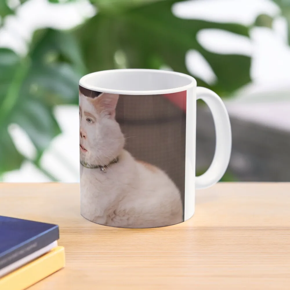 

Nicolas Cage Cat Coffee Mug Cups Ceramic Cups Free Shipping Cups For Coffe Mug