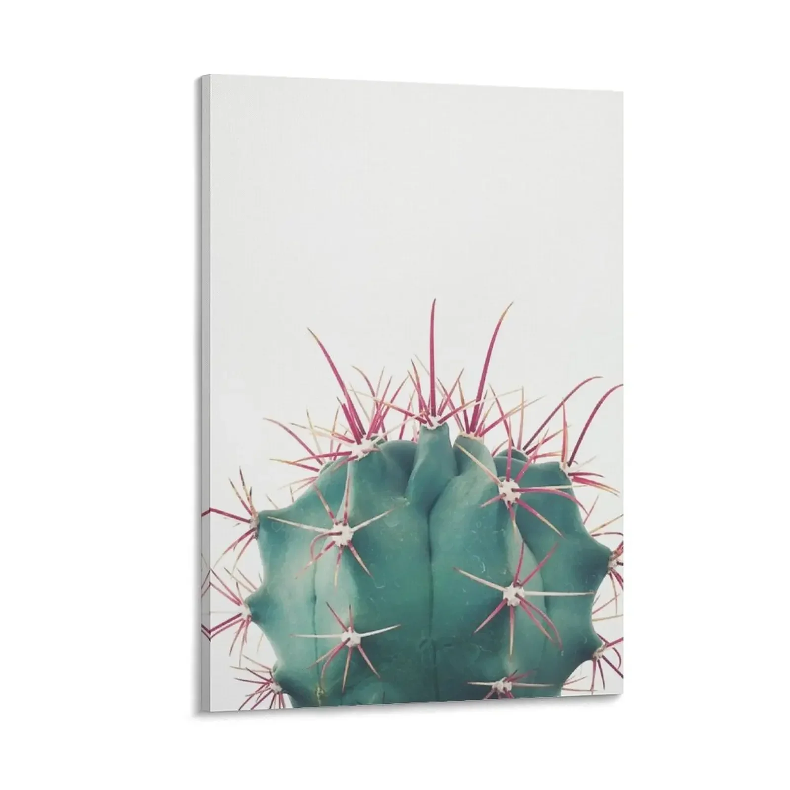 

Ferocactus Canvas Painting Paintings for bedroom large paintings modern living room decoration stickers & posters