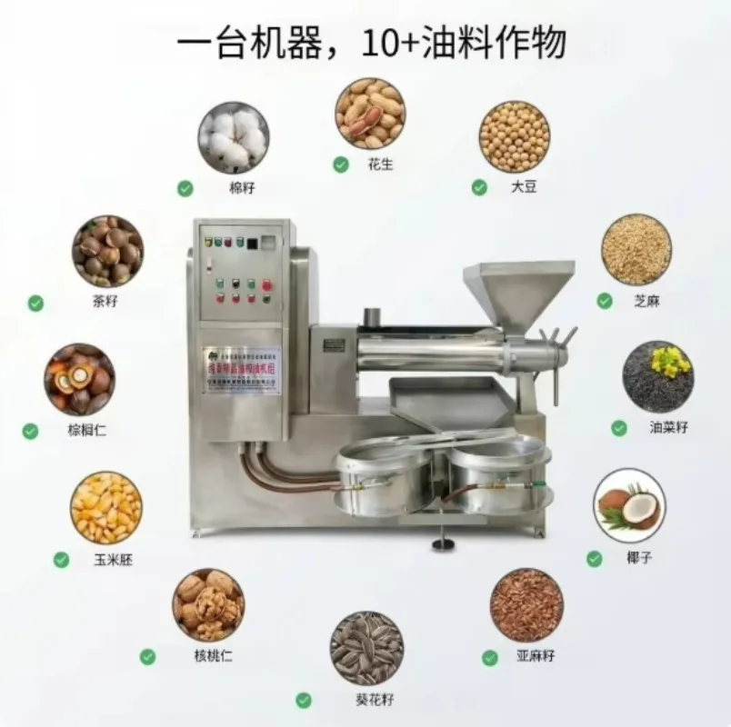 Electric Seed Oil Press Machine Automatic Expeller for Oil Mill Cooking Oil Production Line