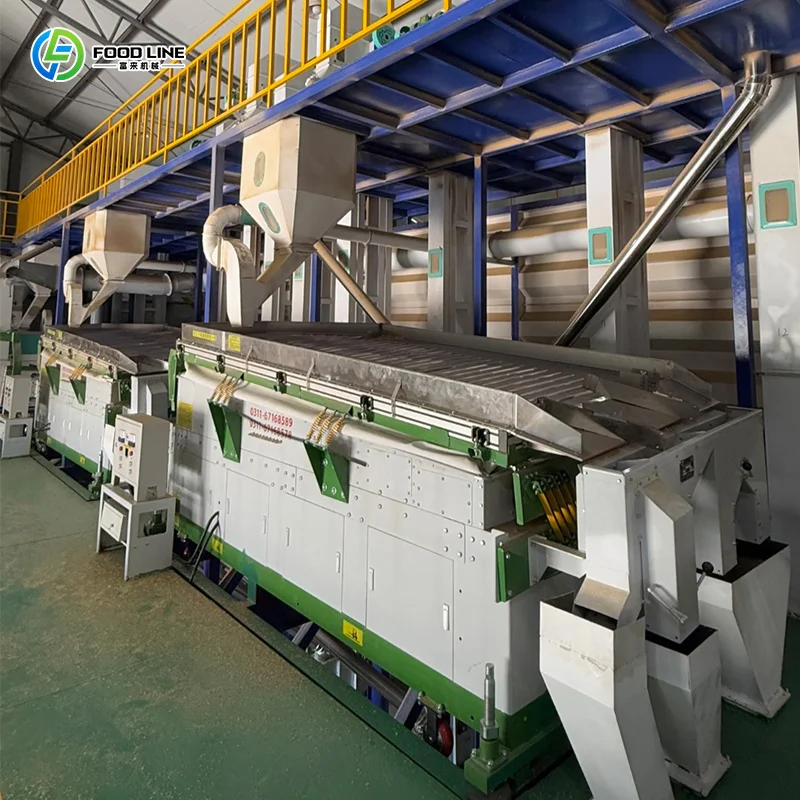 Custom Micron-Level Precision Easy Maintenance Coffee Bean Cleaning Processing Machine