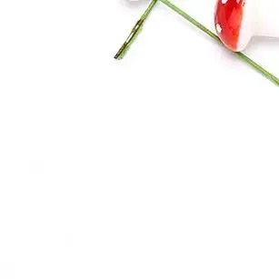 100 pièces modèles de champignons artificiels colorés figurines d'action de plantes miniatures pour la décoration de jardin de la maison