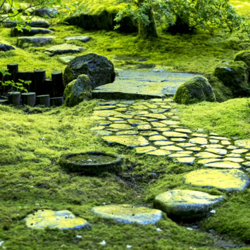 

Roof Rack Luggage Carrier for 1/10 RC Crawler D90 Axial SCX10 90046