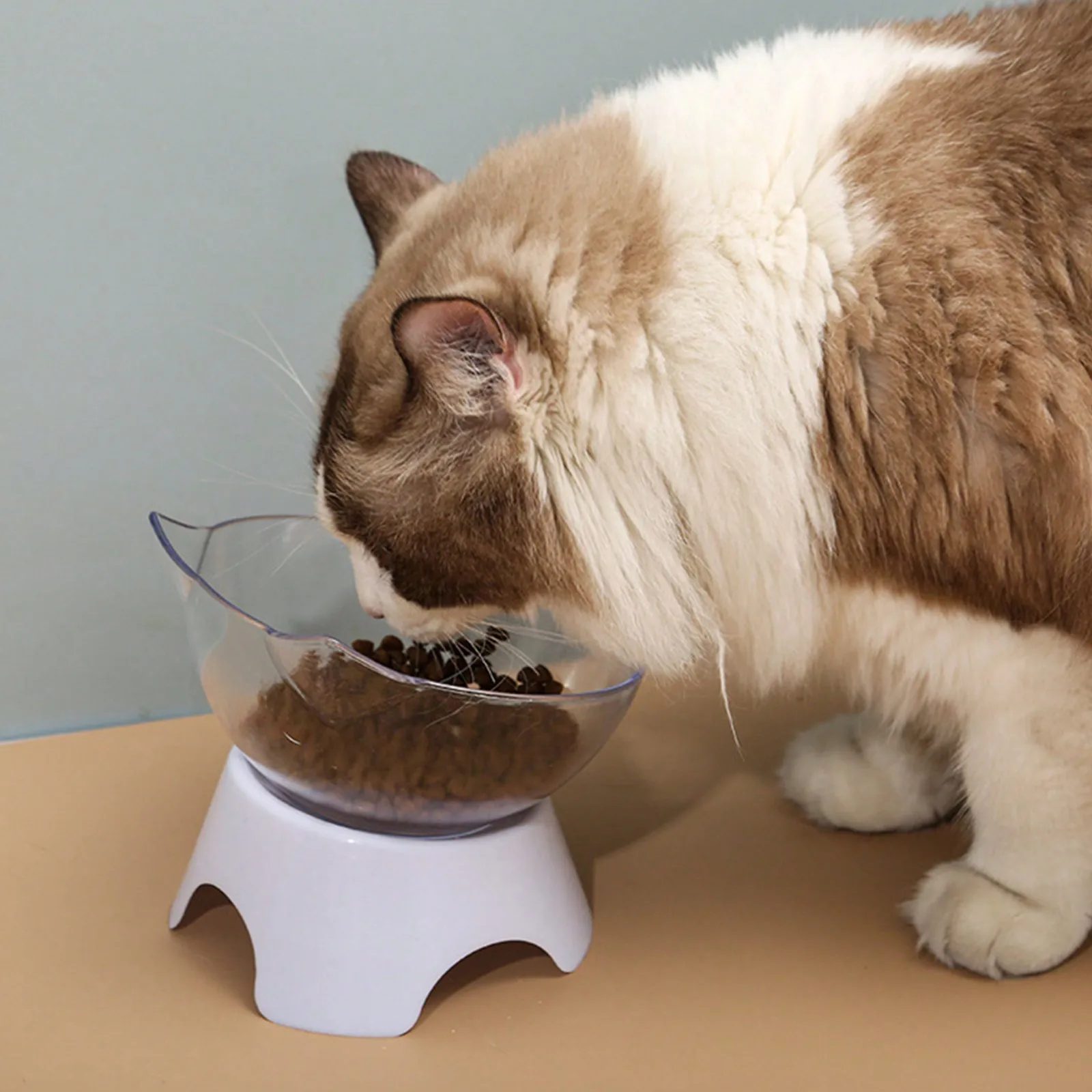 1pc Haustier schüssel Hund und katze liefert katzenfutter schüssel Trinkwasser necenschutz Katze gesicht ohr schüssel