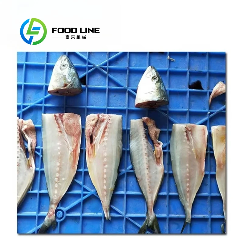 

Коммерческая машина для удаления головы рыбы FCM618 с индивидуальной настройкой, высококачественная, с длительным сроком службы, для переработки морепродуктов