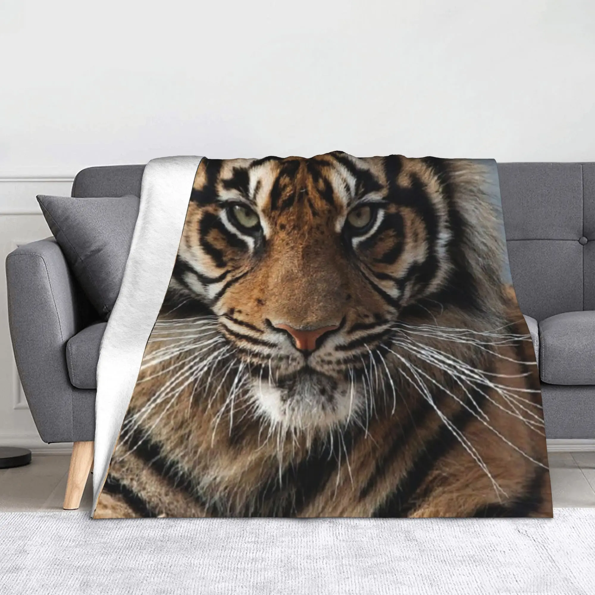 

Обои с изображением тигра, художественные одеяла, бархатные всесезонные, с животными, портативные ультра-мягкие пледы для постельных принадлежностей, дивана, постельные принадлежности, пледы