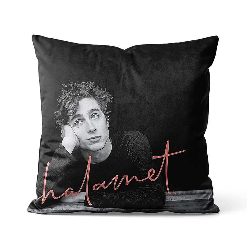 

Gaslight Gatekeep Girlboss Timothee Chalamet Throw Pillow Covers Cushion Cases for Couch Sofa 45cm x 45cm