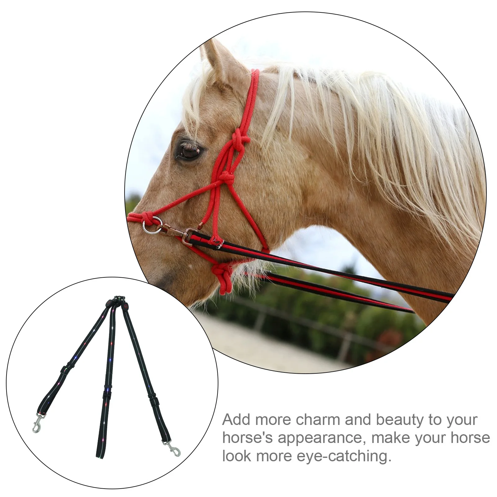 Lichtgevende paardenborstplaat Compacte lichtgewicht led-gloeiende paardenriem voor paardensporttraining Hoge zichtbaarheid Waterdicht