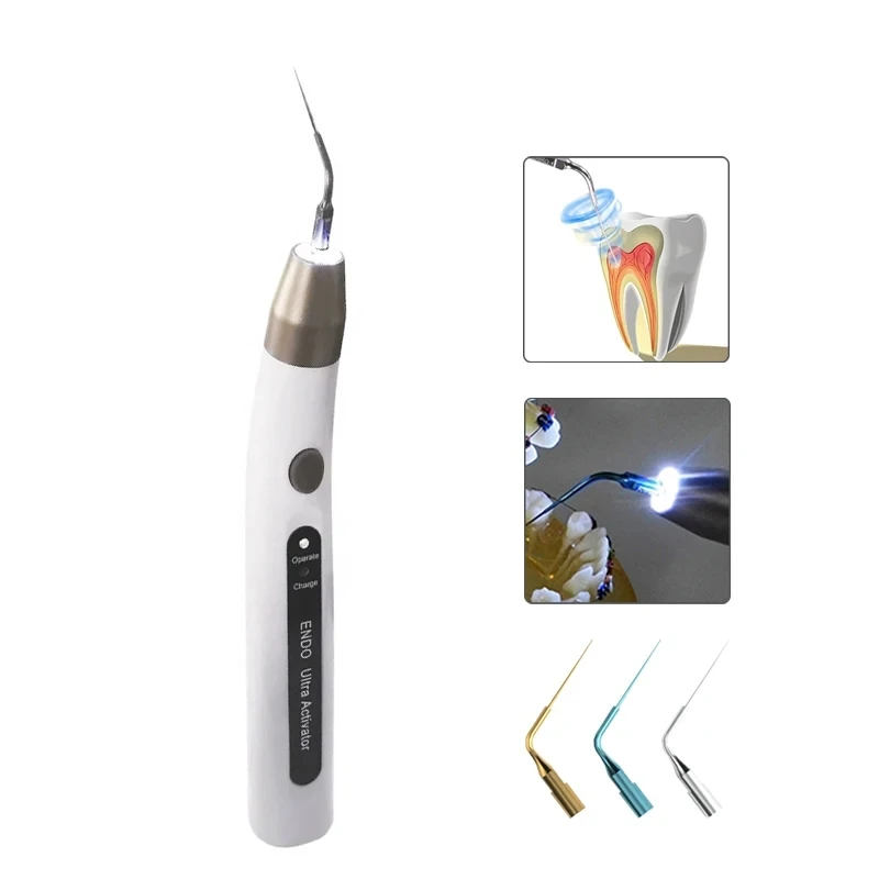 

Dental Ultrasonic Activator with LED Light Wireless Endo Activator 40000Hz Ultrasonic Washing Tooth For Root Canal Treatment