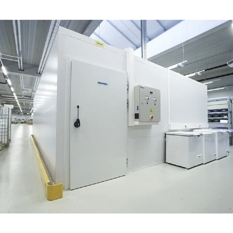 Custom Walk in Cooler Industrial Refrigerator for Fruit Storage Cold Room with Digital Temperature Controller