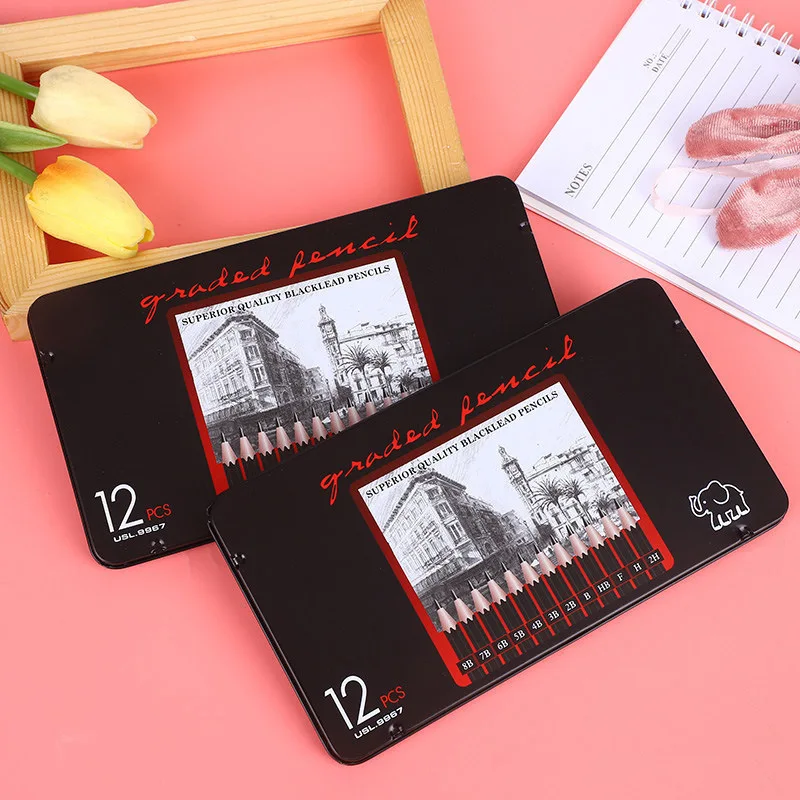 12 Pcs Wood Pencils for Writing, Drawing and Sketching, Pre-sharpened, 2H-8B Soft Lead , Teacher Supplies