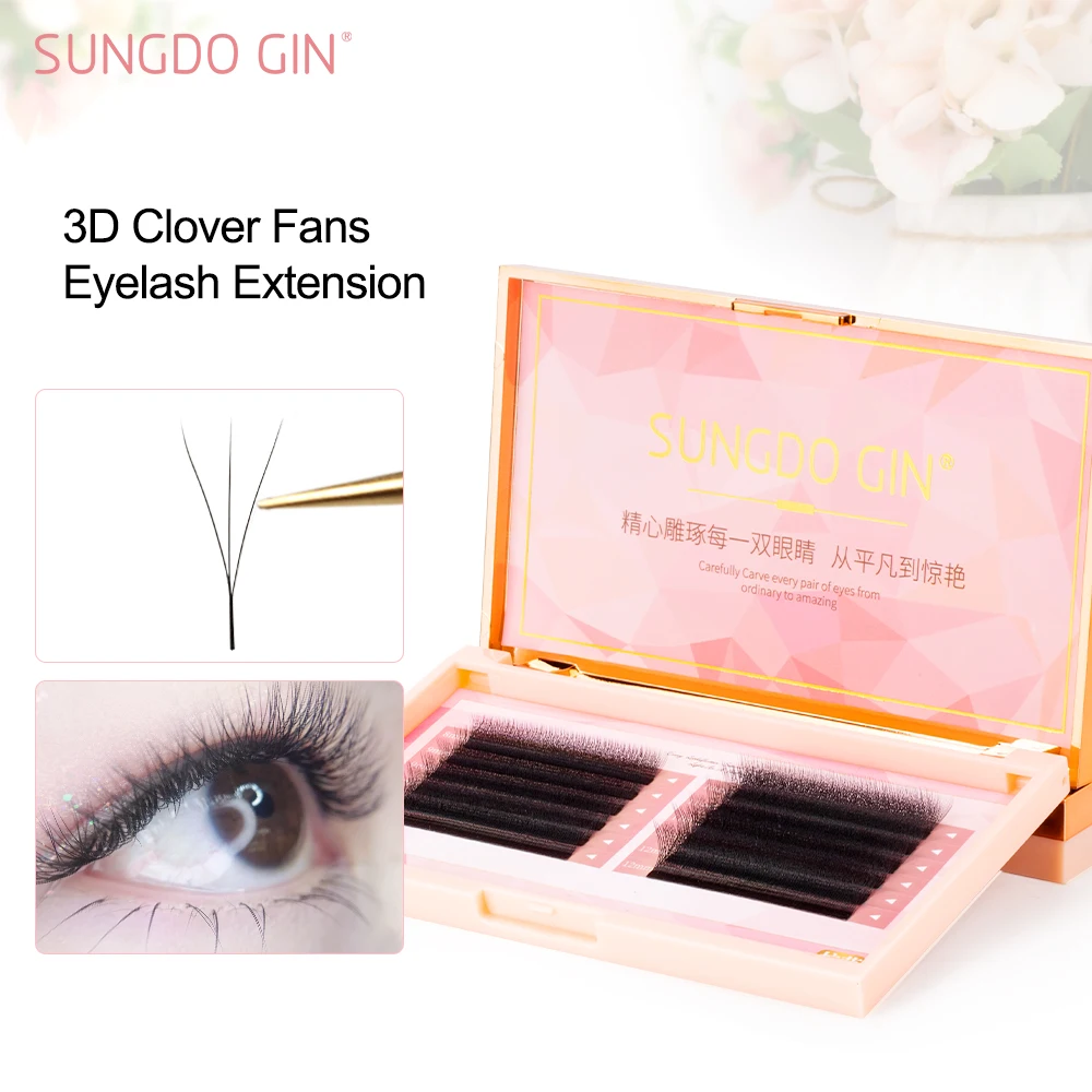 

W Shape Volume Eyelash Extensions 0.04mm Thickness 3D Premade Fans Automatic Flowering Natural Soft Light Individual Lashes