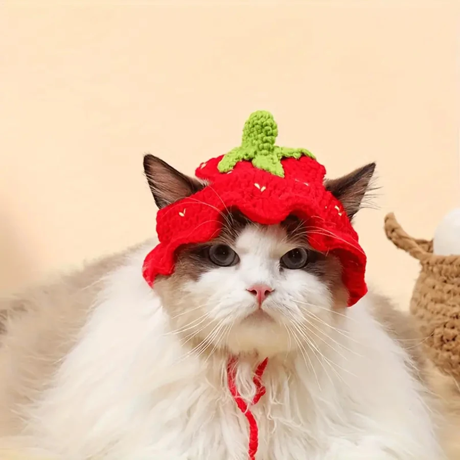 Pet Headgear Cat and Dog Knitted Hat Cospaly Props Headwear Funny Transformation Clothing