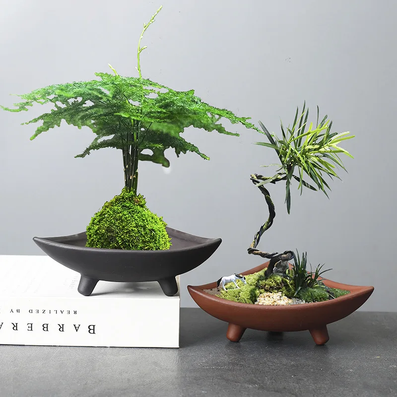 Creative Personality: Special Ceramic Flower Pot Plants for Wen Bamboo, Indoor Micro-landscape, Purple Sand Fortune Tree Potted