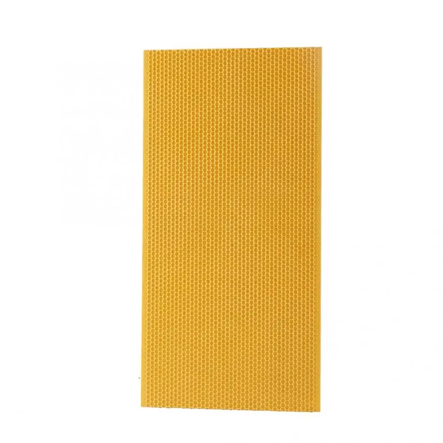 10PCS/Lot Bees Comb Honey Square Frame Plastic Honeycomb Bee Wax Foundation Beehive Frames Base Sheets Black and Yellow