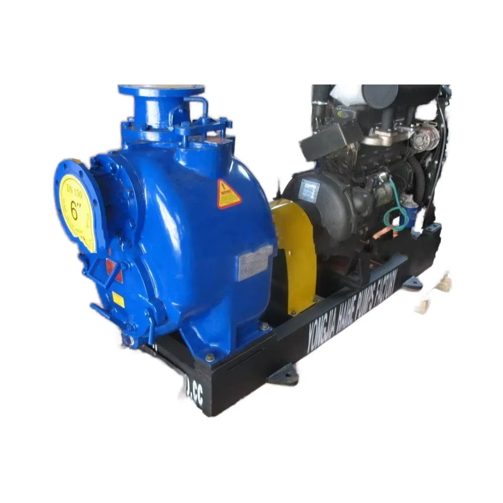 

Индивидуальный бесщеточный солнечный водяной насос-бустер SCPM 750 Вт, самовсасывающий, с панелями, для бытового использования