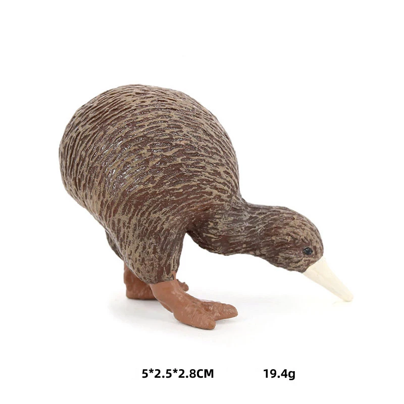 Modelo de Brinquedo de Animal Realista Grande Figura de Pássaro Kiwi Marrom, Figurinha do Pássaro Nacional da Nova Zelândia, Decoração para Casa/Escritório, Brinquedo Colecionável