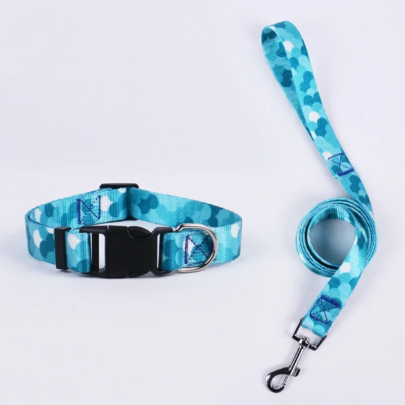 

Colorful Fish Scale Nylon Pet Collar with Leash Set Dog Collar Pet Supplies