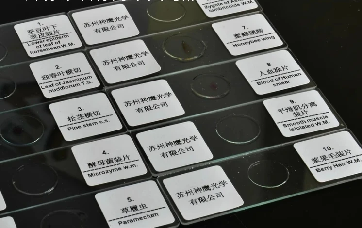 10/25/50pcs Microscope slides cell specimen Professional Biological Microscope biological experiments biopsy specimens
