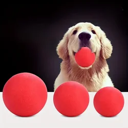 Hard Solid Rubber Balls for Dog Bite Resistant and Indestructible Dog Training Ball Pet Chew Play Fetch Bite Toy TPR Bouncy Ball